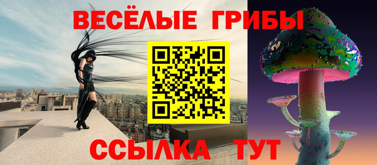 Галлюциногенные грибы мицелий Азов